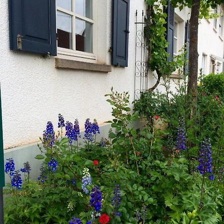 Seelig'S Weinsheim  Exteriör bild