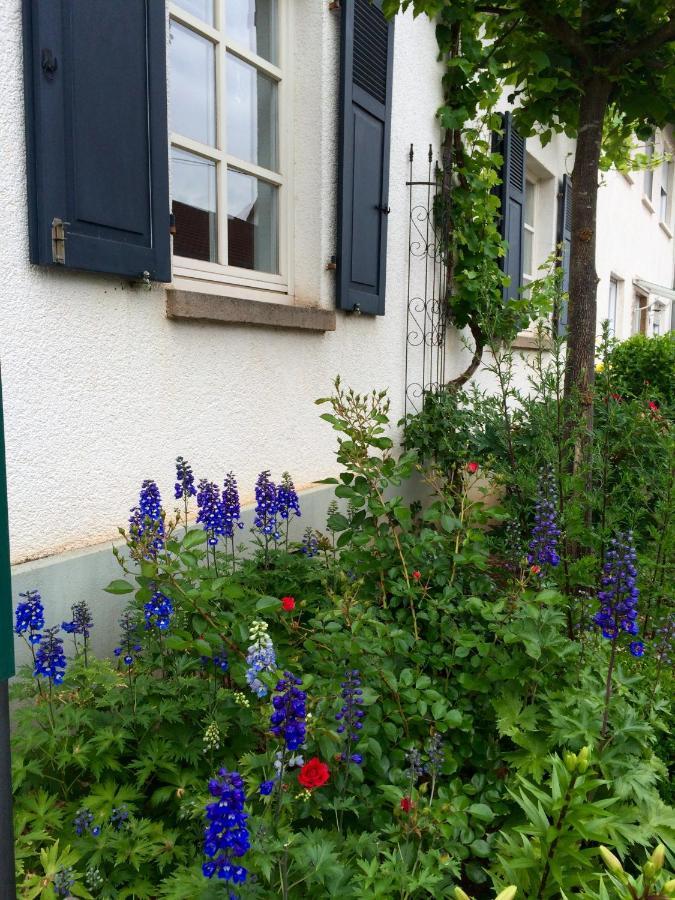 Seelig'S Weinsheim  Exteriör bild